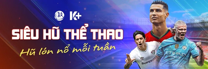 Đa dạng các môn thể thao trên nền tảng cá cược lt88 bet